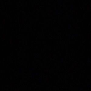 Meet your Posher, Susanna